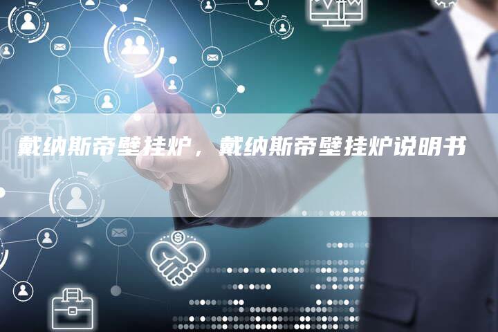 戴纳斯帝壁挂炉，戴纳斯帝壁挂炉说明书