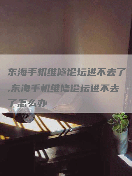 东海手机维修论坛进不去了,东海手机维修论坛进不去了怎么办