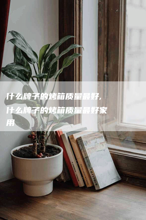 什么牌子的烤箱质量最好,什么牌子的烤箱质量最好家用