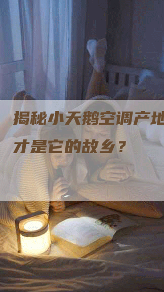 揭秘小天鹅空调产地：哪里才是它的故乡？