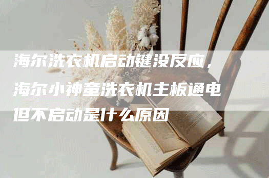 海尔洗衣机启动键没反应，海尔小神童洗衣机主板通电但不启动是什么原因