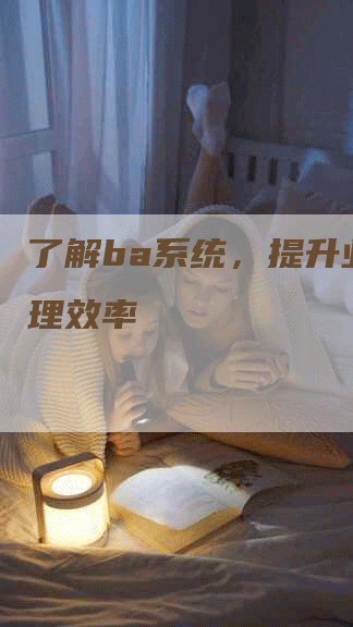 了解ba系统，提升业务管理效率