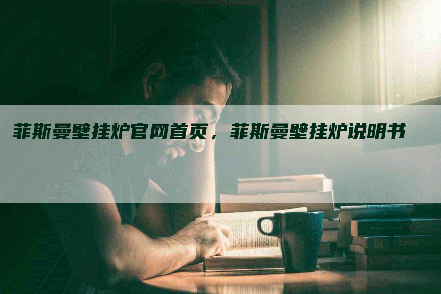 菲斯曼壁挂炉官网首页，菲斯曼壁挂炉说明书