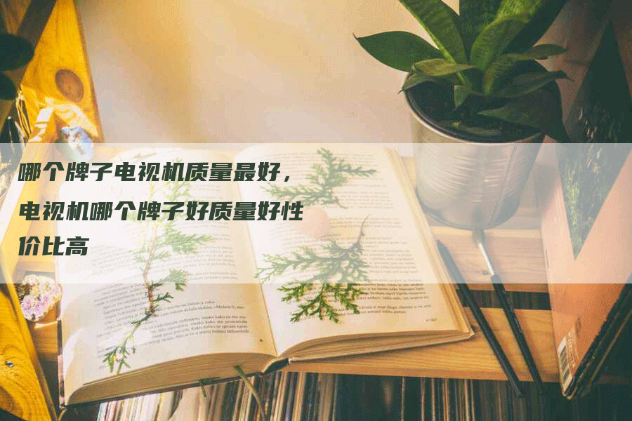 哪个牌子电视机质量最好，电视机哪个牌子好质量好性价比高