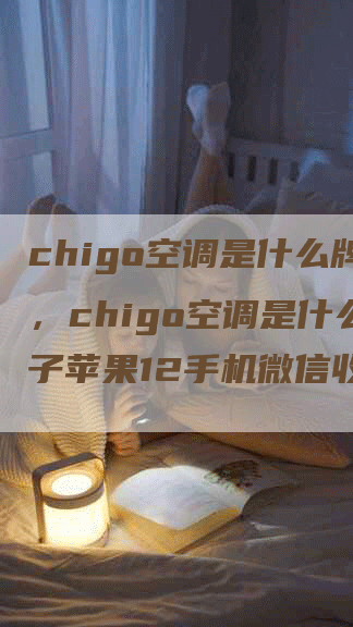 chigo空调是什么牌子，chigo空调是什么牌子苹果12手机微信收款声音小