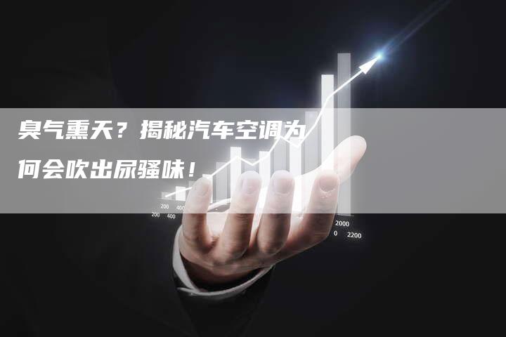 臭气熏天？揭秘汽车空调为何会吹出尿骚味！