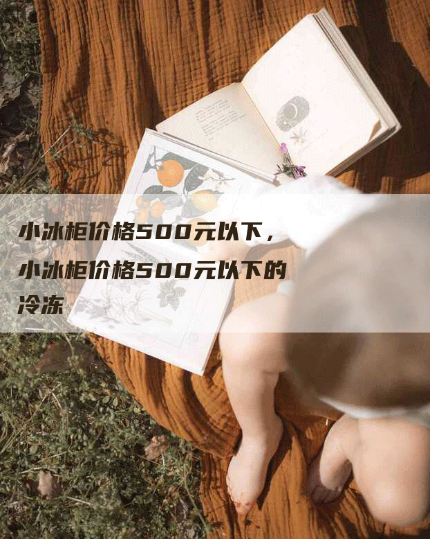 小冰柜价格500元以下，小冰柜价格500元以下的冷冻